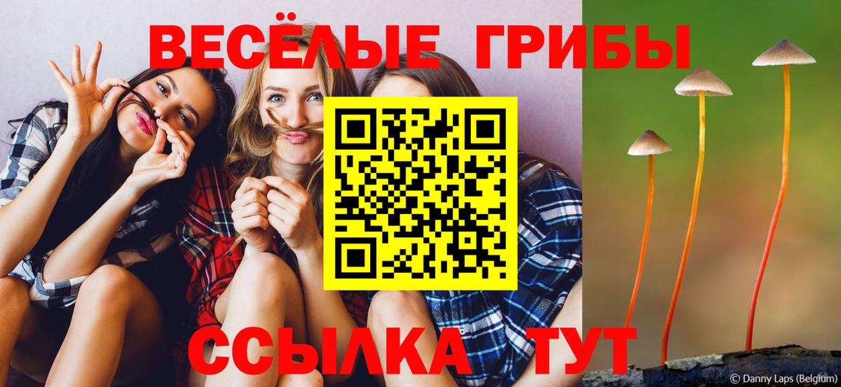 Батайск  цены   Вход с VPN  Псилоцибиновые грибы GOLDEN TEACHER 