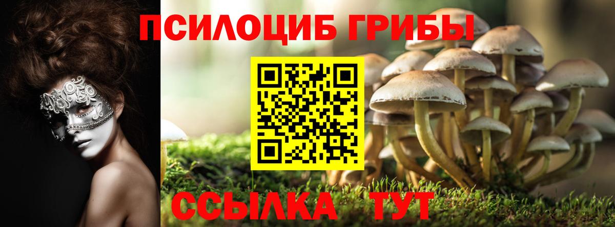Псилоцибиновые грибы Magic Shrooms Батайск